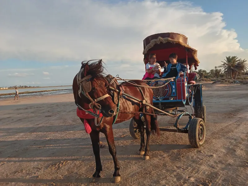 Calèche Lagune Djerba