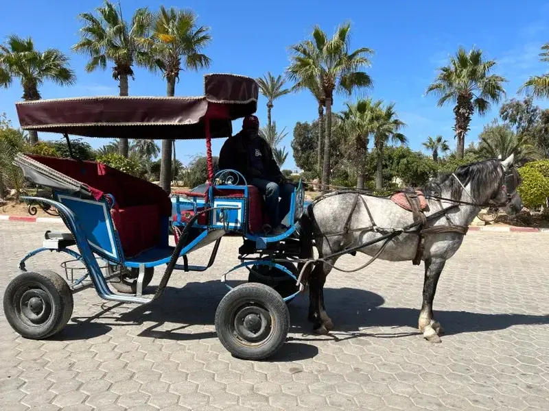 Calèche & Djerba Explore — Djerba Sensations